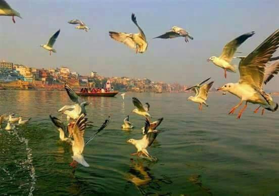 Shiva Ganges View Guest House Варанасі Екстер'єр фото